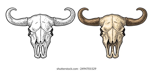 Bull or cow skull with horns. Vintage color vector engraving illustration for info graphic, poster, web. Isolated on white background. Hand drawn in a graphic style.