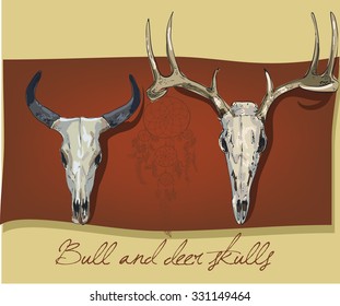 bull and deer skulls