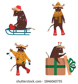 Bull in different actions. Holiday character in cartoon style.