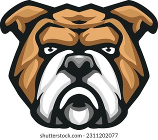 Bull dog Face Illustration. Vector.