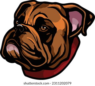 Bull dog Face Illustration. Vector.