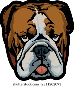 Bull dog Face Illustration. Vector.