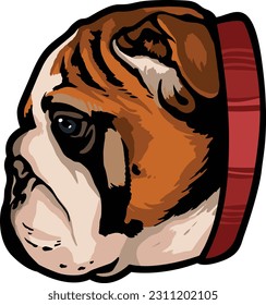 Bull dog Face Illustration. Vector.