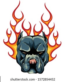 Bull Dog Flame Tattoo in Beast Mode illustration