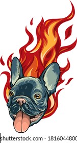 Bull Dog Flame Tattoo in Beast Mode