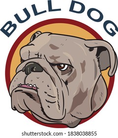 BULL DOG HEAD VECTOR CARTOON FOR DESIGN