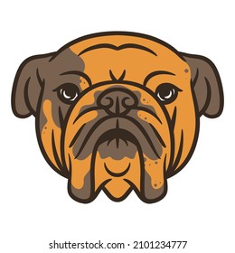 Bull dog head vector illustration