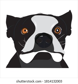 Archivo de pasos de alta regulación del vector del perro toro.