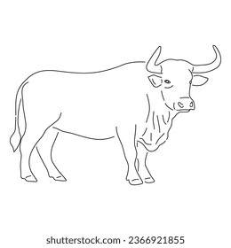 Bull in doodle style. Icons sketch hand made. Vector editable stroke.