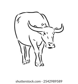 Bull in doodle style. Icons sketch hand made. Vector editable stroke.