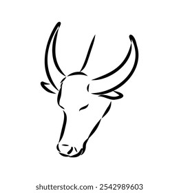 Bull in doodle style. Icons sketch hand made. Vector editable stroke.