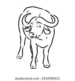 Bull in doodle style. Icons sketch hand made. Vector editable stroke.