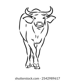 Bull in doodle style. Icons sketch hand made. Vector editable stroke.