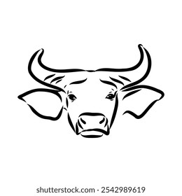Bull in doodle style. Icons sketch hand made. Vector editable stroke.
