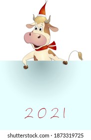 Bull dressed as Santa Claus with scroll Merry Christmas and Happy New Year 2021 vector greeting design. The cow wear winter costume holding plates. New Year 2021 ox symbol. Cute calf cartoon character