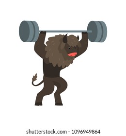 Bull exercising with barbell, sportive wild animal character doing sports vector Illustration on a white background