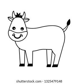 bull farm animal