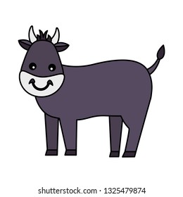 bull farm animal