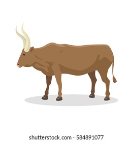 Bull farm animal male standing vector illustration.