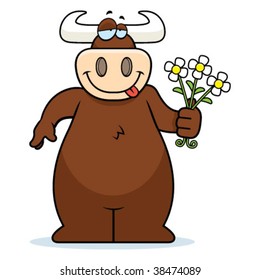 Bull Flowers