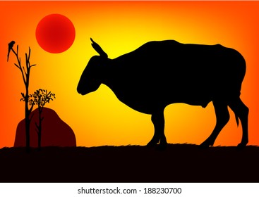 Bull in the forest at sunset.