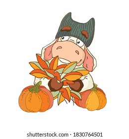 A bull in a funny knitted hat with autumn leaves and pumpkins. Postcard, banner for the harvest festival. Vector illustration in a flat style.