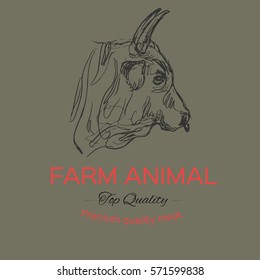  bull, hand draw sketch, vector 