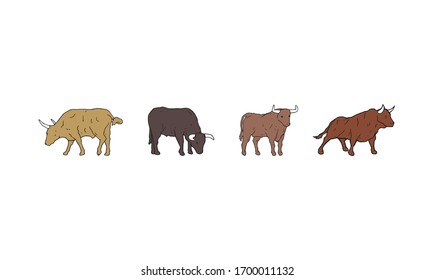 Bull hand drawn domestic farm animal set, vector illustration. Bulls standing in different positions original drawing. Taurus zodiac horoscope symbol. Big and strong mammal with horn cartoon sketch.