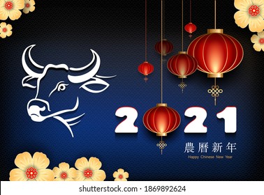 Bull. Happy Chinese New Year 2021. Rooms design white. With yellow flowers. With red lanterns lights, symbols. Golden layered paper cut in asian style, blue background. Vector, greeting card calendar