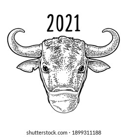 Bull head with blue medical masks. Vintage black engraving illustration isolated on white. 2021 lettering. Hand drawn in a graphic style for poster or banner 2019-nCoV about coronavirus quarantine