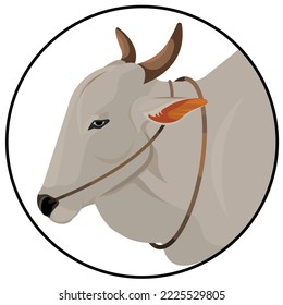 Bull Head Design.Bull Logo, Indian Ox, Zebu bull. Brahman cattle.