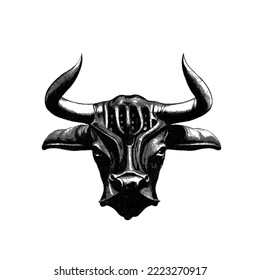 Bull head. Doodle sketch. Vector illustration. Isolated on white background.