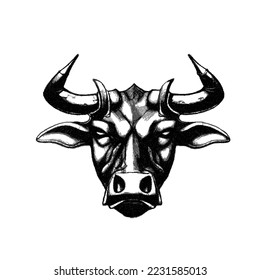 Cabeza de toro. Esbozo de Doodle. Ilustración vectorial. Aislado sobre fondo blanco.