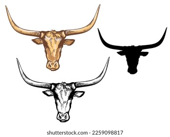 Bull head hand drawn illustration isolated on white. Vector black silhouette bull head for design.