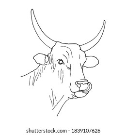 Bull head icon thin line, farm animal concept, cattle sign on white background, bull head silhouette icon in outline style for coloring, mobile concept and web design.