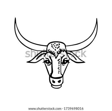 Bull head with long horns vector illustration isolated on white background.  Bull symbol. Symbol of Botswana coat of arms.