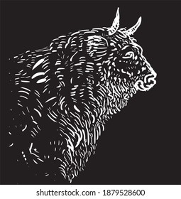Bull head on black background, hand drawn vector illustration