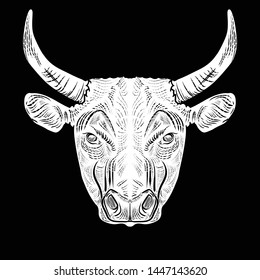 Bull head portrait illustration, drawing, engraving, ink, line art, vector