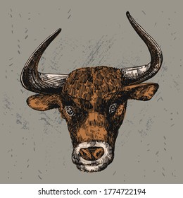 Bull head sketch. Hand drawn beautiful vector illustration. Symbol of 2021 new year.