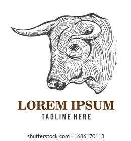 Bull head vector illustration in hand drawn style, good for butcher shop logo design and tshirt design