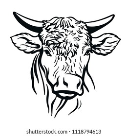 bull head. vector illustration on white background
