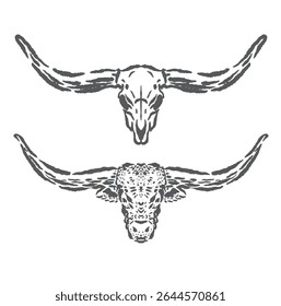 Ilustração do esboço do vetor da cabeça do touro com duas representações muito legais