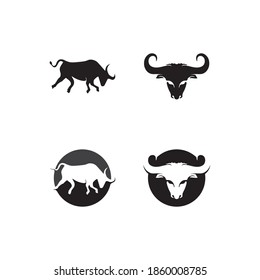 Bull horn and buffalo logo and symbols template icons app