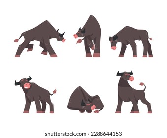 Bull with Horns as Domestic Cattle with Hoof in Different Pose Vector Set