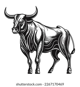 Bull with horns. Hand drawn vintage engraving style woodcut vector illustration Eps 10