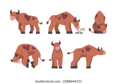 Bull with Horns and Ring in the Nose as Domestic Cattle with Hoof in Different Pose Vector Set