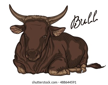 Bull image. Big male of Endangered species Banteng (Bos javanicus) lying. Isolated on a white background. vector illustration 