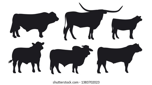 Bull isolated on white. Black silhouette cow. Hand drawn vector illustration.