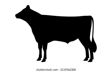 Bull Jersey Silhouette - The Best Milk Cattle Breeds. Farm animals. Vector Illustration