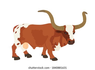 Ilustración vectorial de bovinos de cuernos largos de toro aislados sobre fondo blanco. Símbolo de toro de Texas de Longhorn. 
